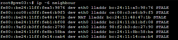 ipv6 neighbour